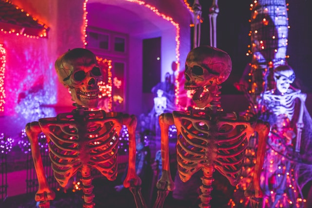 ハロウィン用骸骨の画像