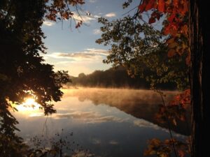 芝公園の紅葉２０２２のまとめのイメージ画像