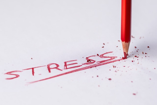 赤色鉛筆で芯が折れるほどの力でSTRESSと書いてある画像
