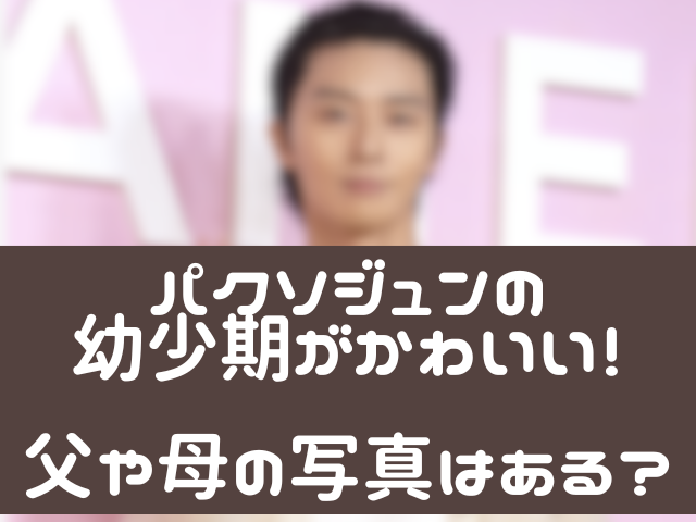パクソジュンをぼかした画像にタイトルが入っている