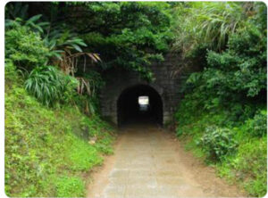 台湾九份にある周りに草が生い茂ったトンネルの画像